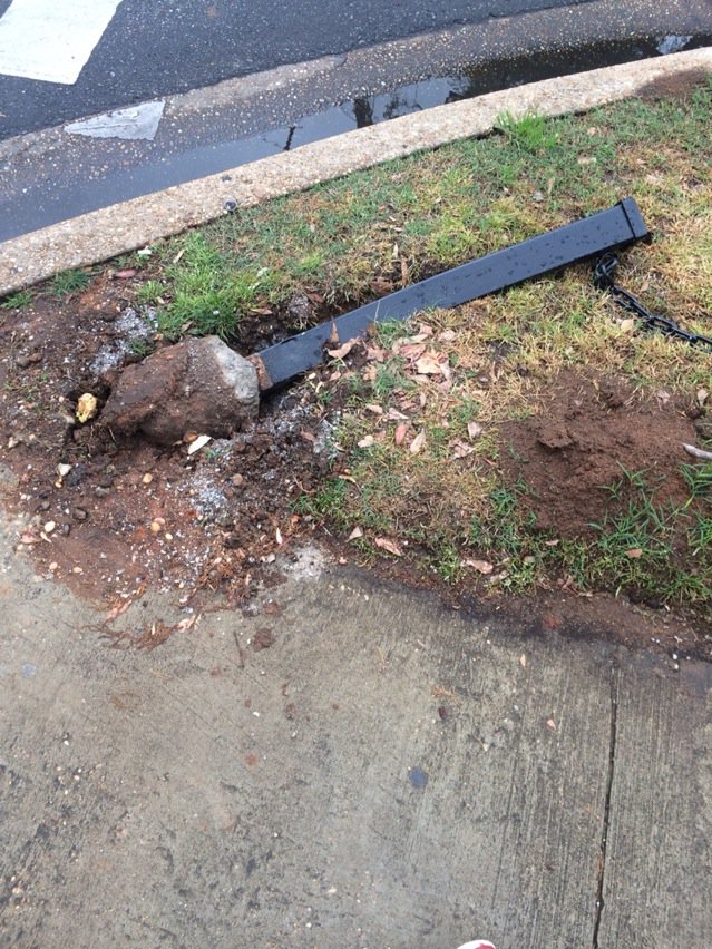TheTCLacy's tweet photo. "The pole was in my way."- UA student https://t.co/CEbLSvJbTg