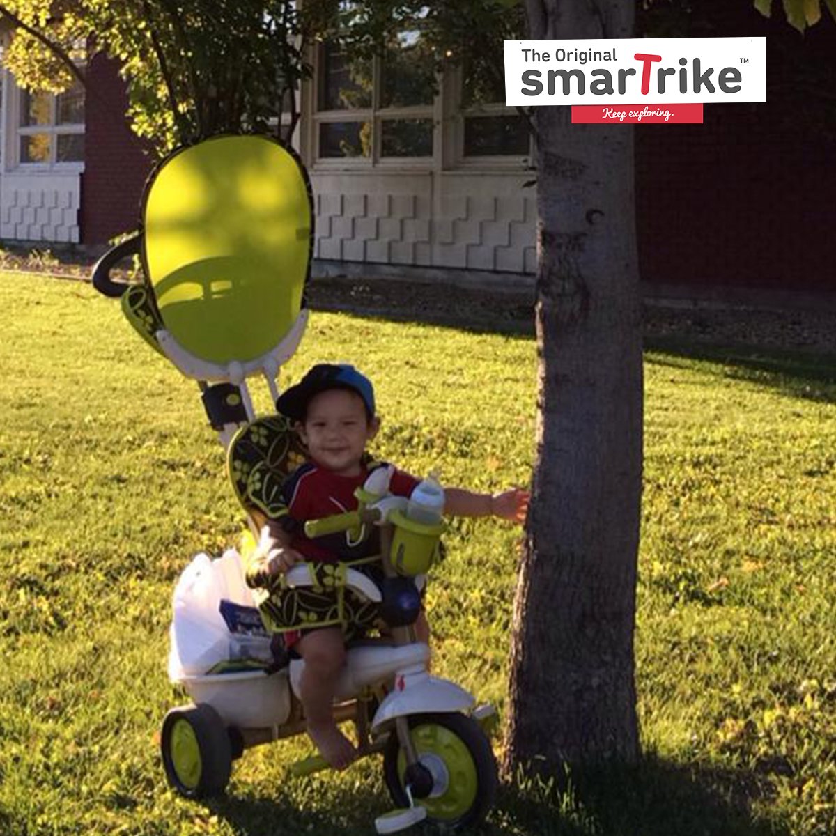 Tú las traes ahora, Árbol! #Mancha #Bebe