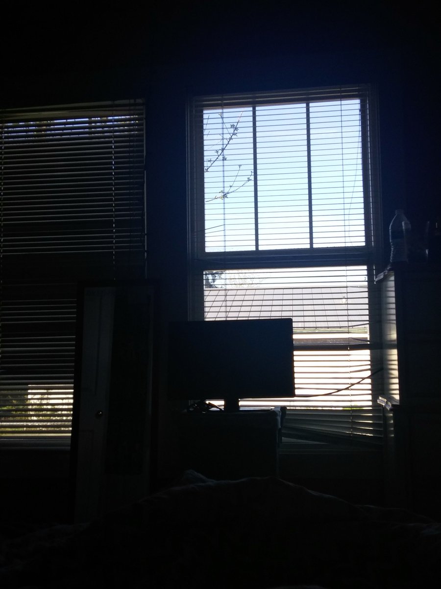 MaddyReed5's tweet photo. Sup Sunshine.. ☀👐💎✨👓
#GorgeousOut #SunShine #PNW https://t.co/PMSR3hgmoj
