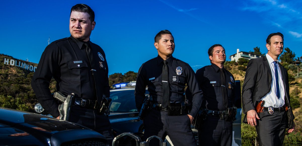 Ann E. Young tweet media