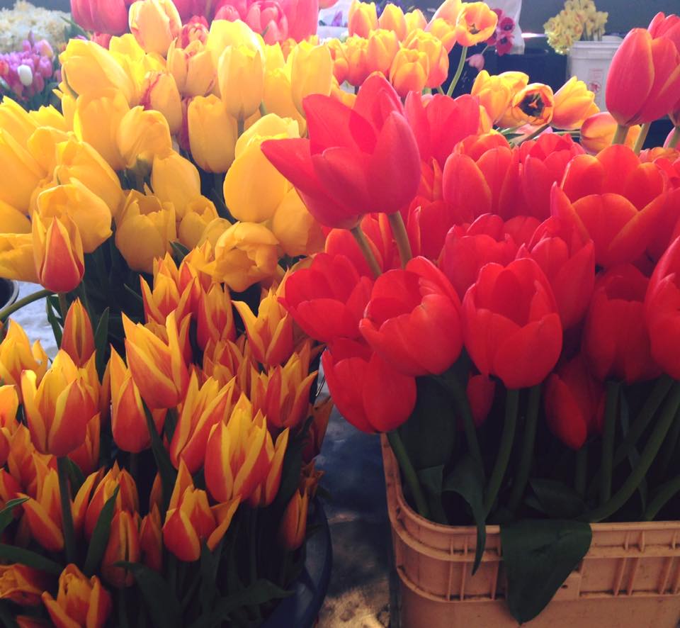 MayflowerPark's tweet photo. Spring has Sprung at the @pike_place #SpringtimeInSeattle https://t.co/GccHN2FmHR