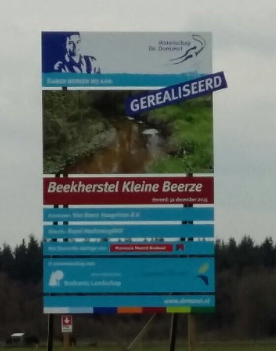 MattijsO's tweet photo. Opening beekherstel Kleine Beerze. Wederom een mooi project gerealiseerd! @wddommel @BeersHoogeloon @RHDHV_Brabant https://t.co/B51BtOCYHk