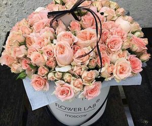 1choose_one's tweet photo. Choose one 💖💗😍 https://t.co/3b4Clv66z8