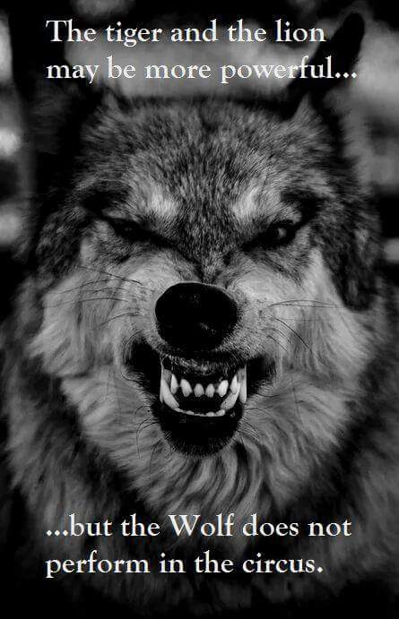 borbe_dexter's tweet photo. https://t.co/9iNA0HVQaD