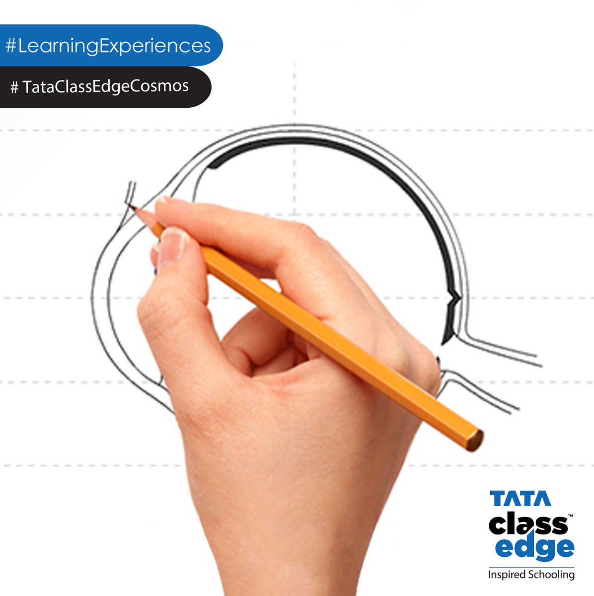 tataclassedge's tweet photo. Step by step drawing support for science! #DiagramMaker #LearningExperiences https://t.co/WjZMaHrx7e