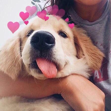 AriellePenaflor's tweet photo. 😍😍😍 https://t.co/KK0YRDD89V