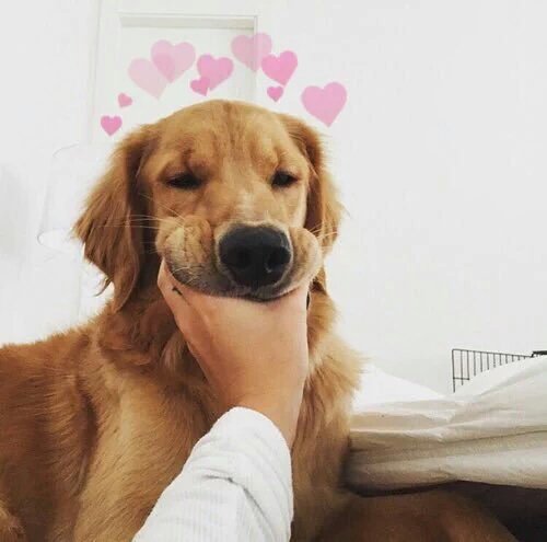 AriellePenaflor's tweet photo. 😍😍😍 https://t.co/KK0YRDD89V