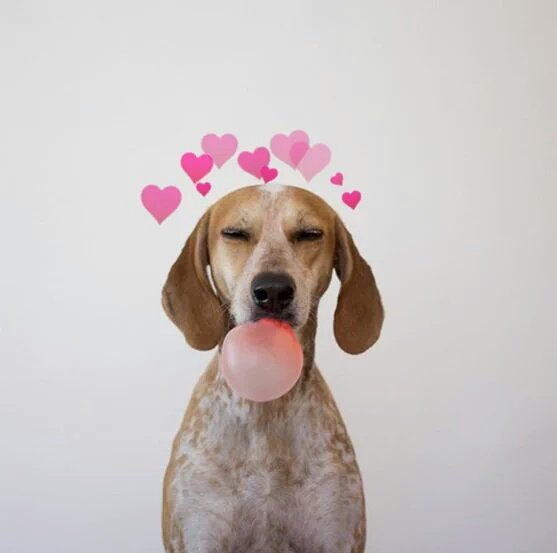 AriellePenaflor's tweet photo. 😍😍😍 https://t.co/KK0YRDD89V