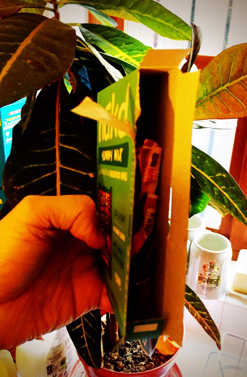 JormaAliHiha's tweet photo. Super-irritating that you don't fill your boxes properly, @nakd! There's easily the space here for a fifth bar! https://t.co/B5Q9toY14F