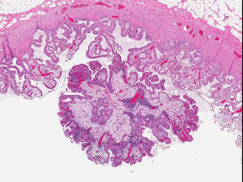 David Sadler tweet media