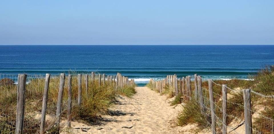 VanLoCalifornia's tweet photo. Teaser des bons plans #roadtrip #côteAtlantique &amp; #PaysBasque concoctés par les propriétaires d'1 #T4☀🌊🏡 #VanLocLife https://t.co/1SaYVXYFjh
