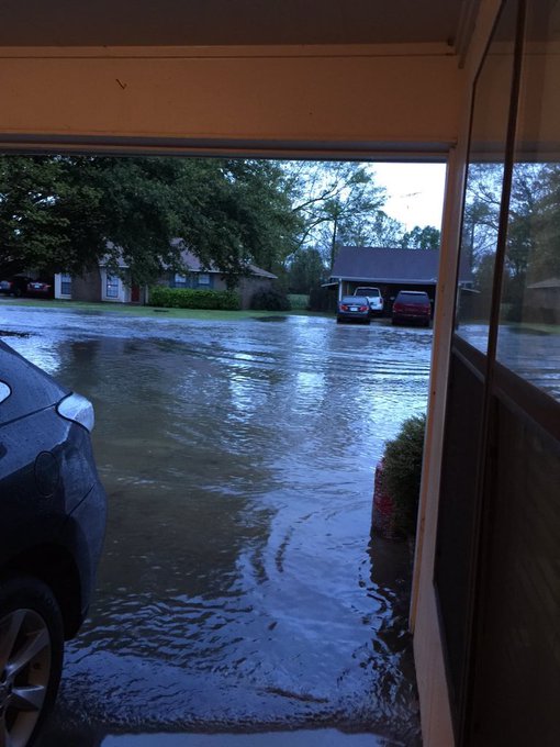 View image on Twitter