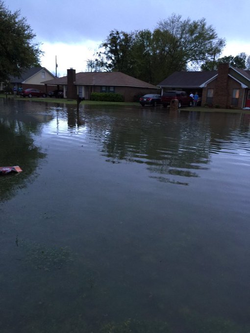 View image on Twitter