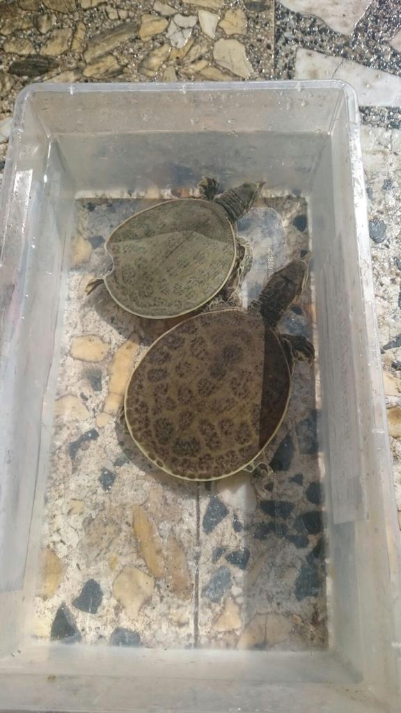 Dami (@damialbi) on Twitter photo 