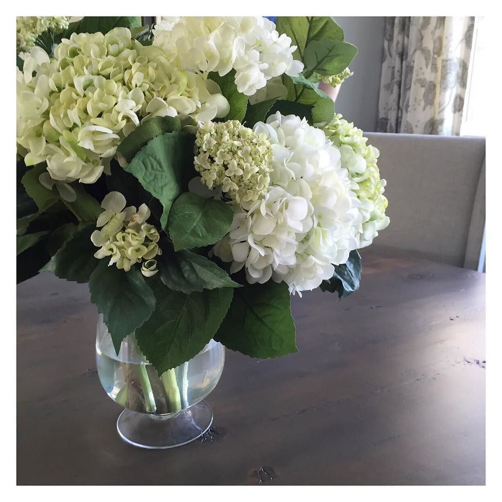 tracizeller's tweet photo. Can you believe these pretty things are @ndi_flowers?  #hydrangea #flowers #flower #flower… https://t.co/jFYTilaX4c https://t.co/EFw1YMn7ct
