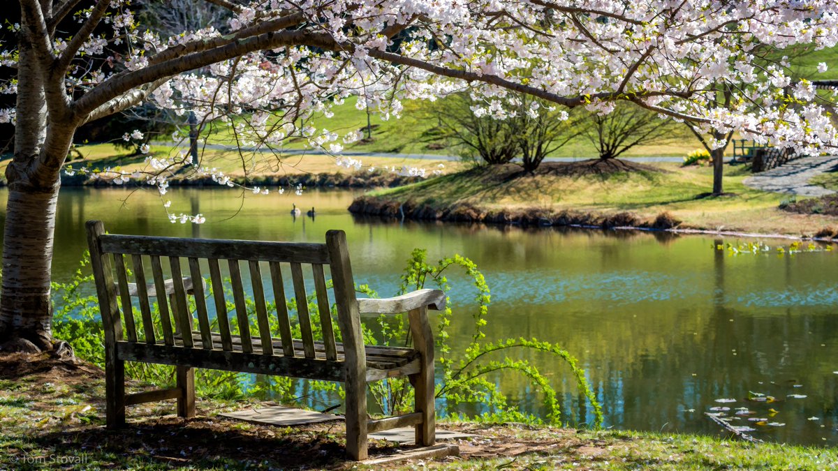 lightlifeimages's tweet photo. My favorite time of the year to be out watching nature. #Nova_Parks #NVRPA #MeadowlarkBotanicalGardens #ViennaVA https://t.co/uXQWvgro8u