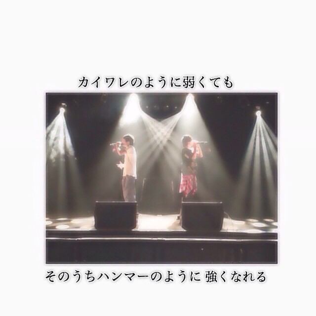 画像をダウンロード カイワレ ハンマー imiga 128878