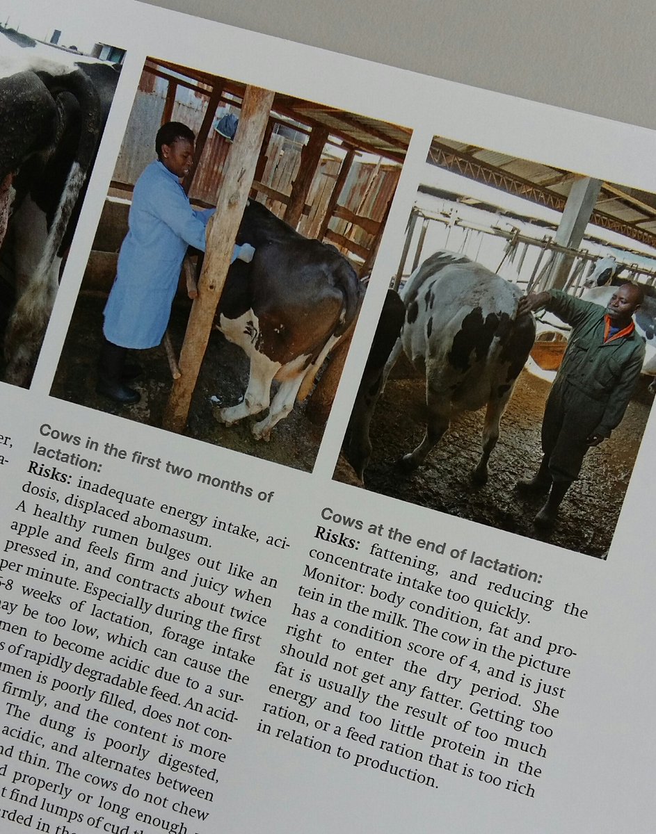 MelleLeenstra's tweet image. Practical guide to dairy cow mgt Advanced EastAfrican edition. Basic edition forthcoming. 
cowsignals.co.ke