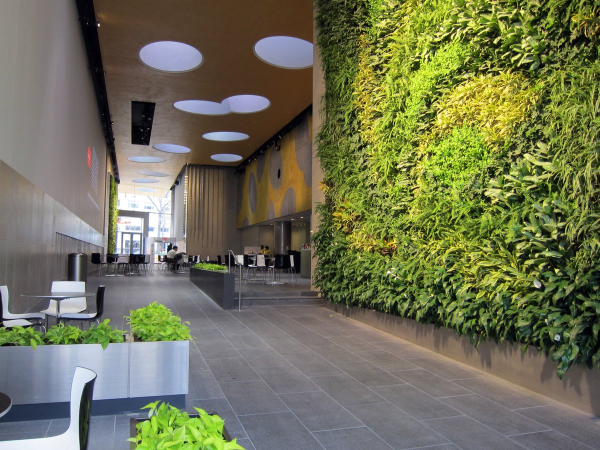 TerrapinBG's tweet photo. Want to learn more about #biophilia for #interiors? Take the course at #ASIDAcademy: https://t.co/vV1egXay6n @ASID https://t.co/XfdAQjSzfe