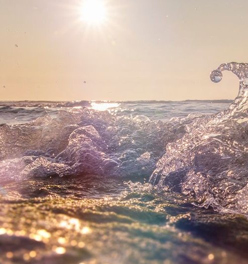 Beth Smart tweet media