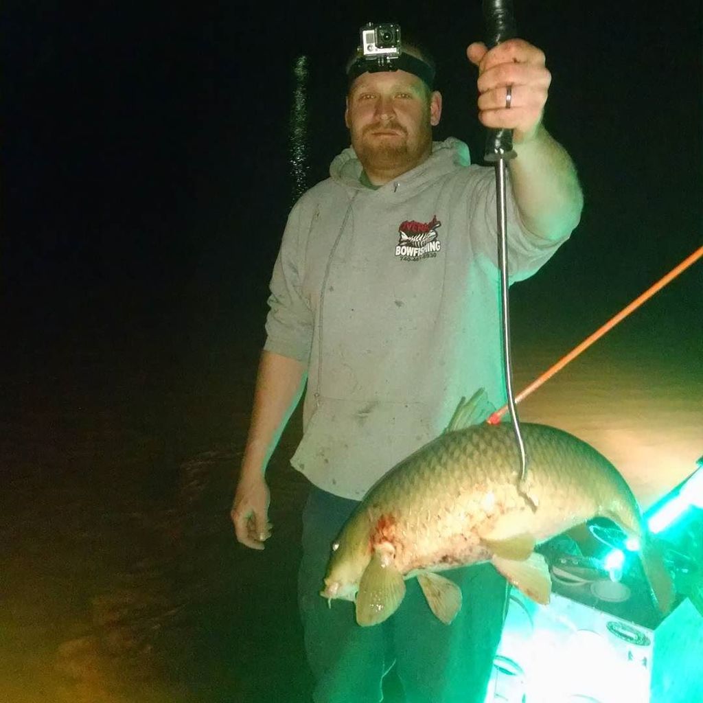 Bowfish247365's tweet photo. Fan Photo Submission by: overkill_bowfishing > #overkillbowfishing #amsbowfishing #psebowfishing #seelite #innerloc… https://t.co/8vcCYlBR3o