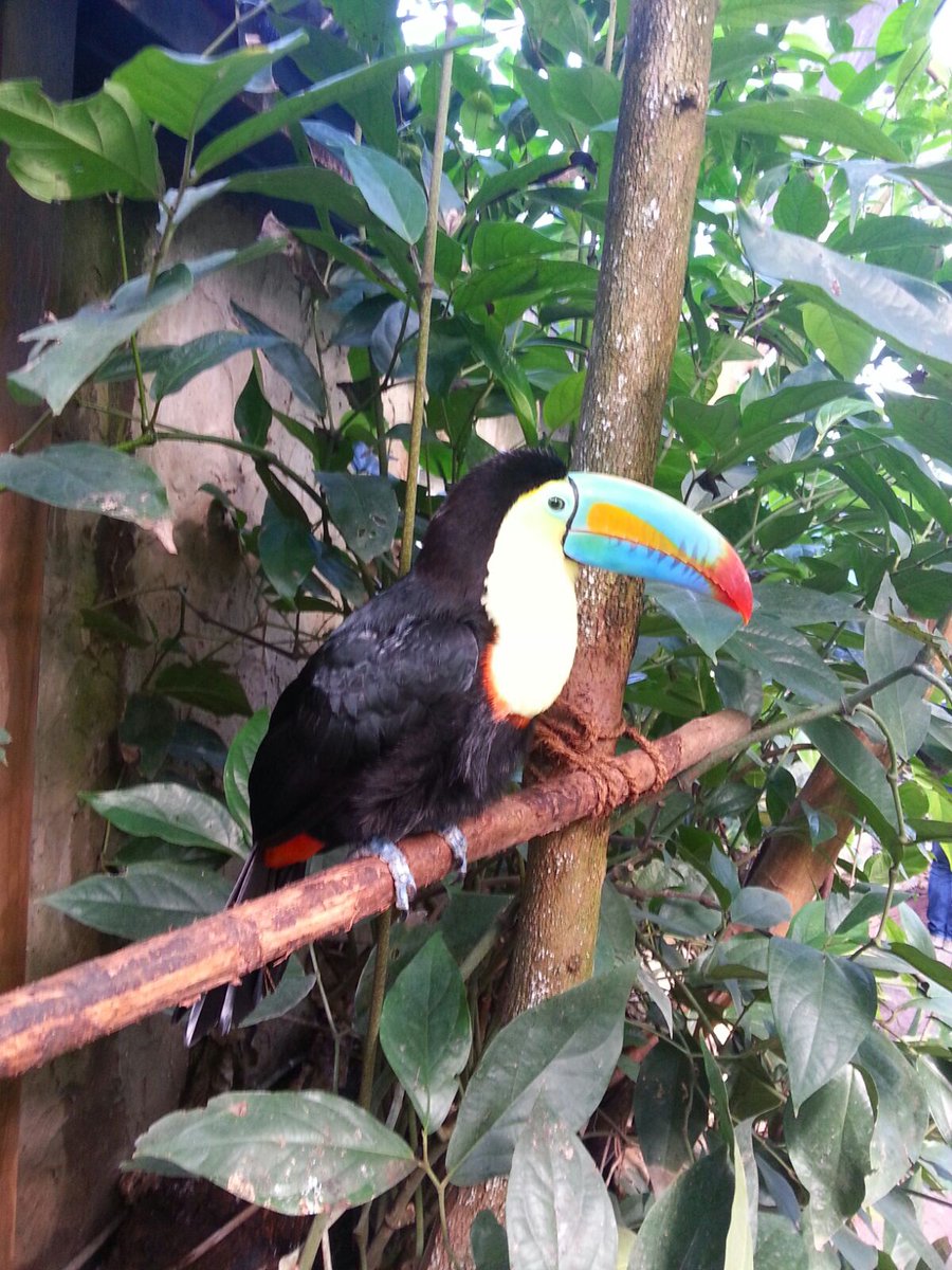 fribourgCH's tweet photo. En balade avec le #Fripass : album photo à découvrir: https://t.co/Zb9bgOtwy6 @fribourgregion @tpf_medias #FRhappy https://t.co/huR3G3j7xD