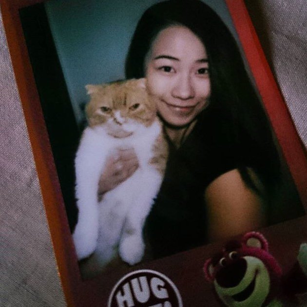 NekoIRLcom's tweet photo. #NekoIRL meowsonxx loves cats! I might look like I don't care but I love my mum and she loves me💗💋
主子愛奴才奴才愛主子😽

//
… https://t.co/SgPCOWYRSv