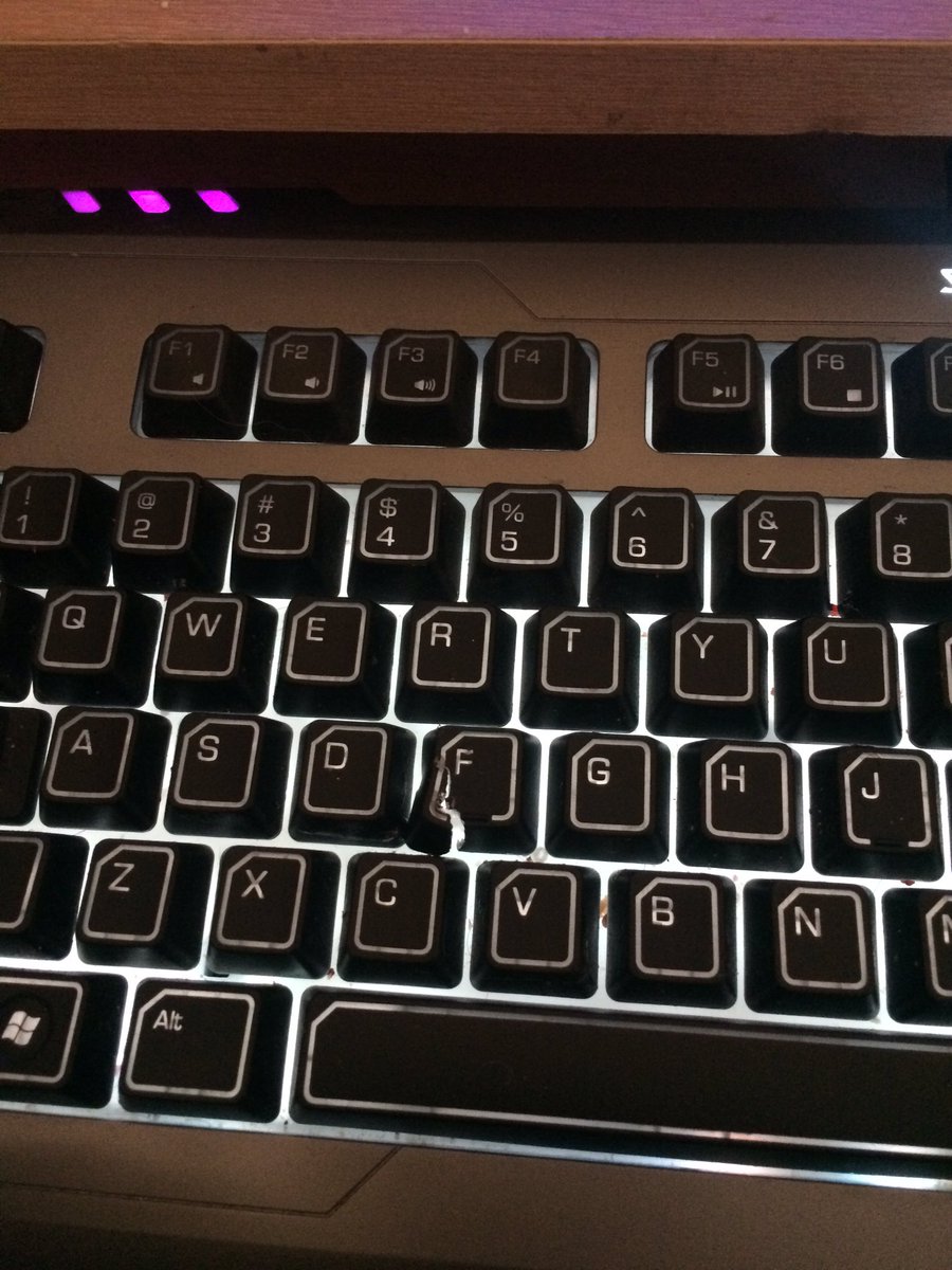CholaOfXG's tweet photo. F you too dog! #Baddachshund #Razer #Baddog #Dirtykeyboard #Gamerproblems https://t.co/7C6IeVKC9R