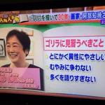 世の男性はゴリラに見習え!と訴える熟女おばさん..w