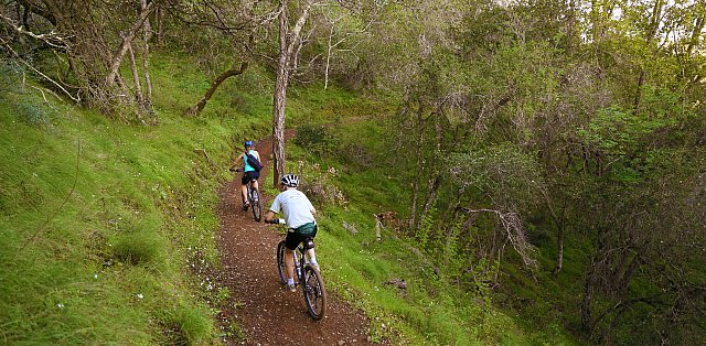 RockNEnergy's tweet photo. Spring adventure? Remember to pack our energy drinks for energizing refreshment! #bike #spring #biking #fitness https://t.co/4j9cME03s4