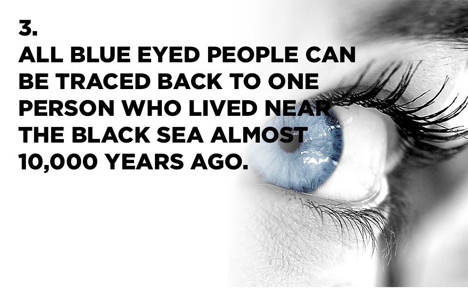 KhelMintoKa's tweet photo. There's just more to the eyes than, well, meets the eye. Here are some crazy facts about your eyes. #KMK https://t.co/GHSxwtCiUP