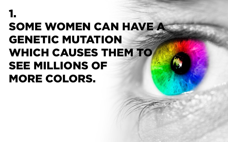 KhelMintoKa's tweet photo. There's just more to the eyes than, well, meets the eye. Here are some crazy facts about your eyes. #KMK https://t.co/GHSxwtCiUP