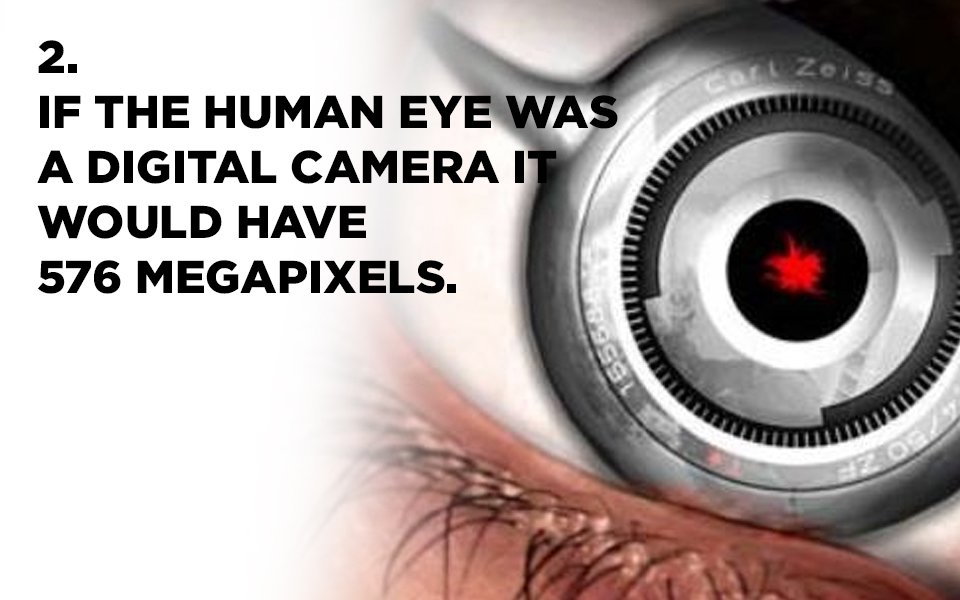 KhelMintoKa's tweet photo. There's just more to the eyes than, well, meets the eye. Here are some crazy facts about your eyes. #KMK https://t.co/GHSxwtCiUP