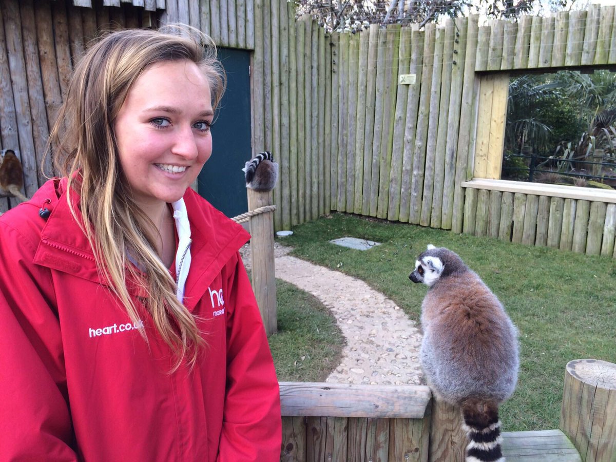 HeartSussex's tweet photo. The lemur was our favourite animal today! Thanks @drusillaspark for letting us see them! https://t.co/F1SCyx0GMP