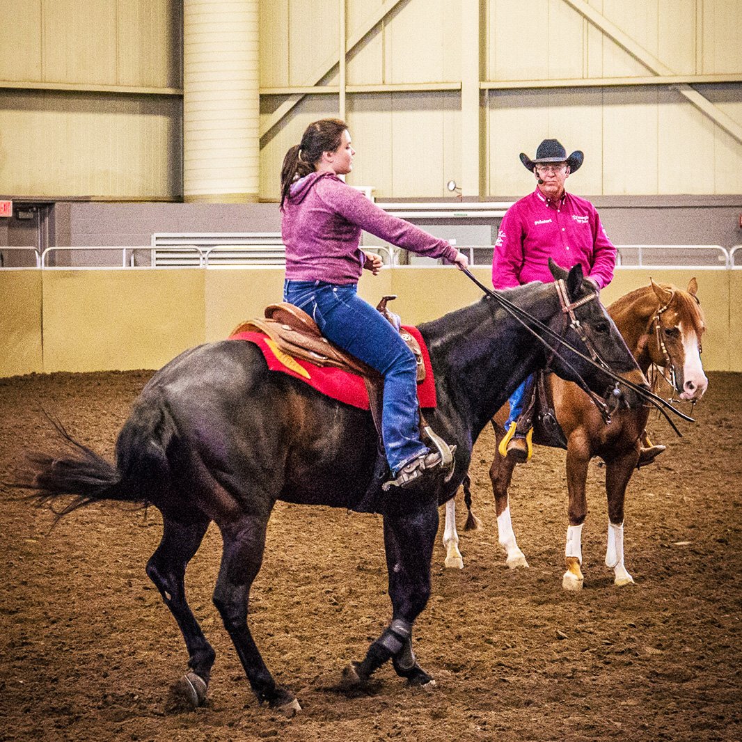 AllEquineShow's tweet photo. It was great to see so many Juniors fine-tuning their skills at #AllEquine this year! https://t.co/qvSOhZ8nIr