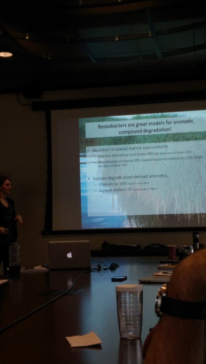 UTKMicrobiology's tweet image. Ashley Frank shares why Roseobacters are so important for marine carbon cycling. #dissertationdefence