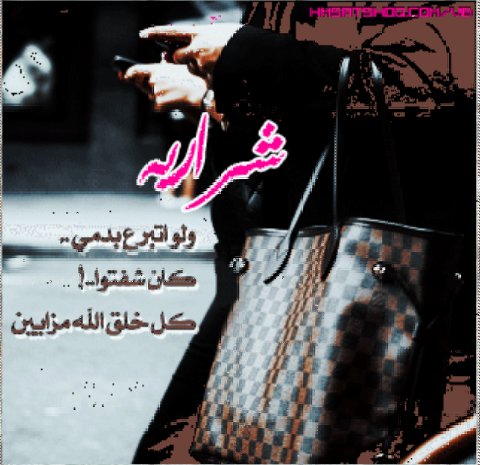 knk2021's tweet photo. افتخر فيها لانها أصل ابوي وجدي <**~🌹

وافتخر فيها وانا لاسمها شايل <*~~🌹👍

مساء الخير ✌️ 😌

#بقلمي 

#خالد-الشراري https://t.co/MSC9NkG3re