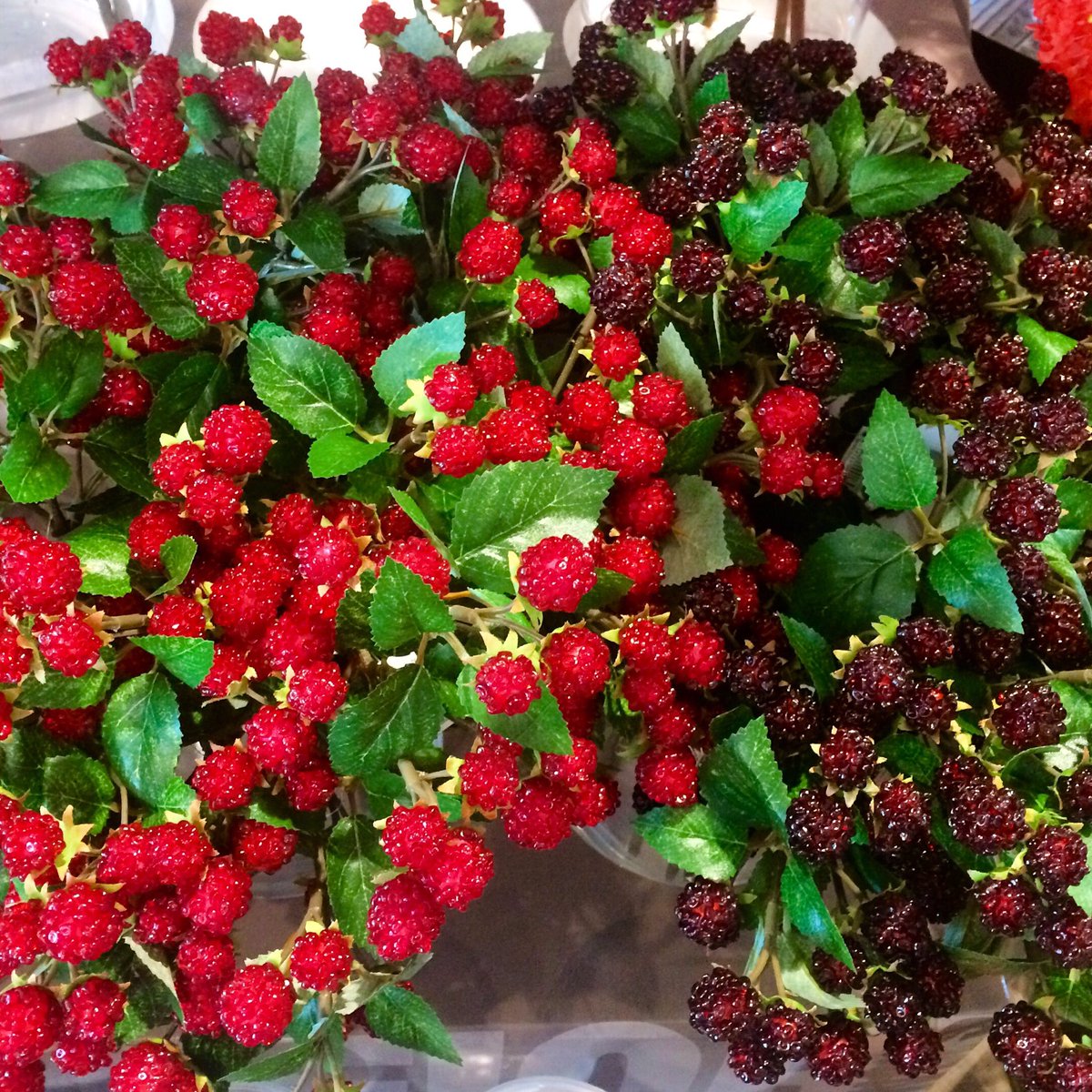 luciagalizi's tweet photo. #fruit #berries #setup #gettingready #party #kids #littlecutiebabygirl #eventuallyplanners #weddingplanners https://t.co/LesUM6JQ31