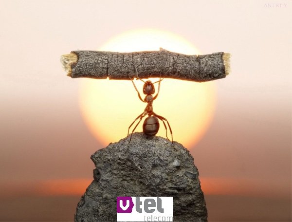 Meespelen in de Champions League van de zakelijke telecommarkt? Vtel zoekt collega's! --> ow.ly/108mWo