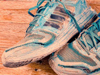 Runners-Fuel tweet media