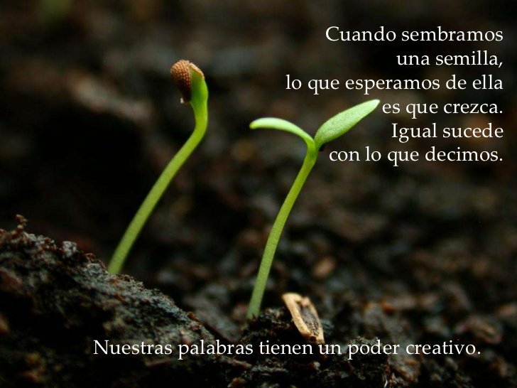 ivpnl's tweet photo. Nuestras palabras tienen un poder creativo.
#SÉMILLASDELUZ
#SAB09ABRIL
#DOM10ABRIL
https://t.co/DUjBBbpmUO
#IVPNL https://t.co/drjU6VWg9k
