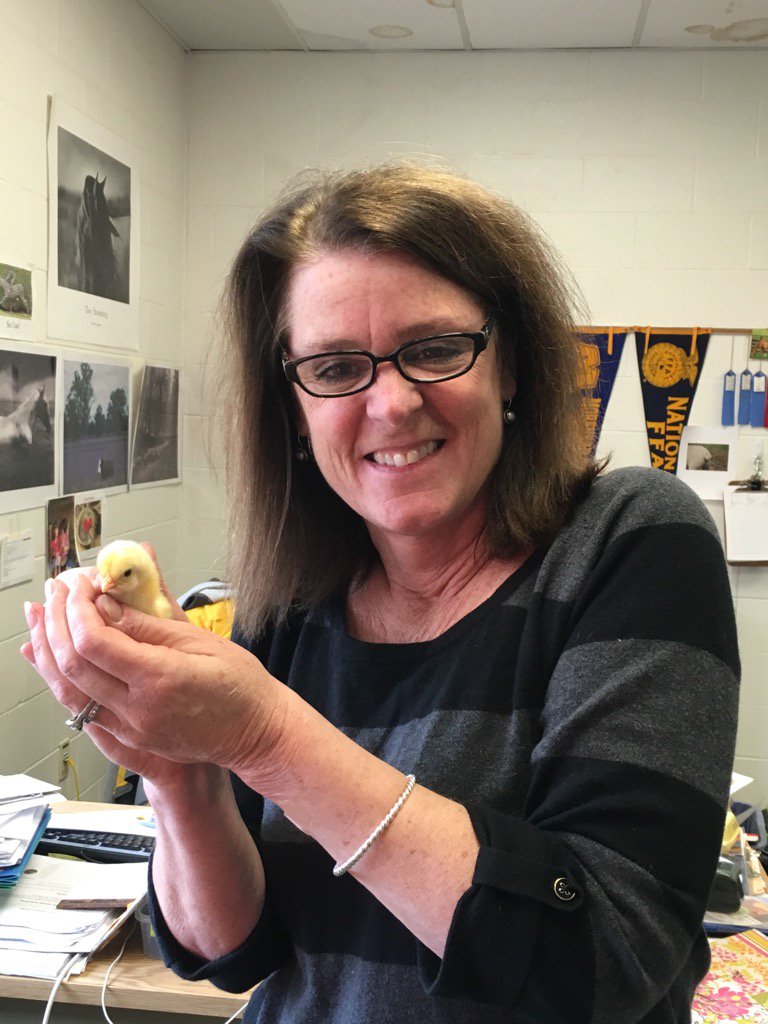 WamogoBennett's tweet photo. Just two "chicks" hanging out together - Mrs. Lambert checking out the new peepers! https://t.co/HxtteKQivZ