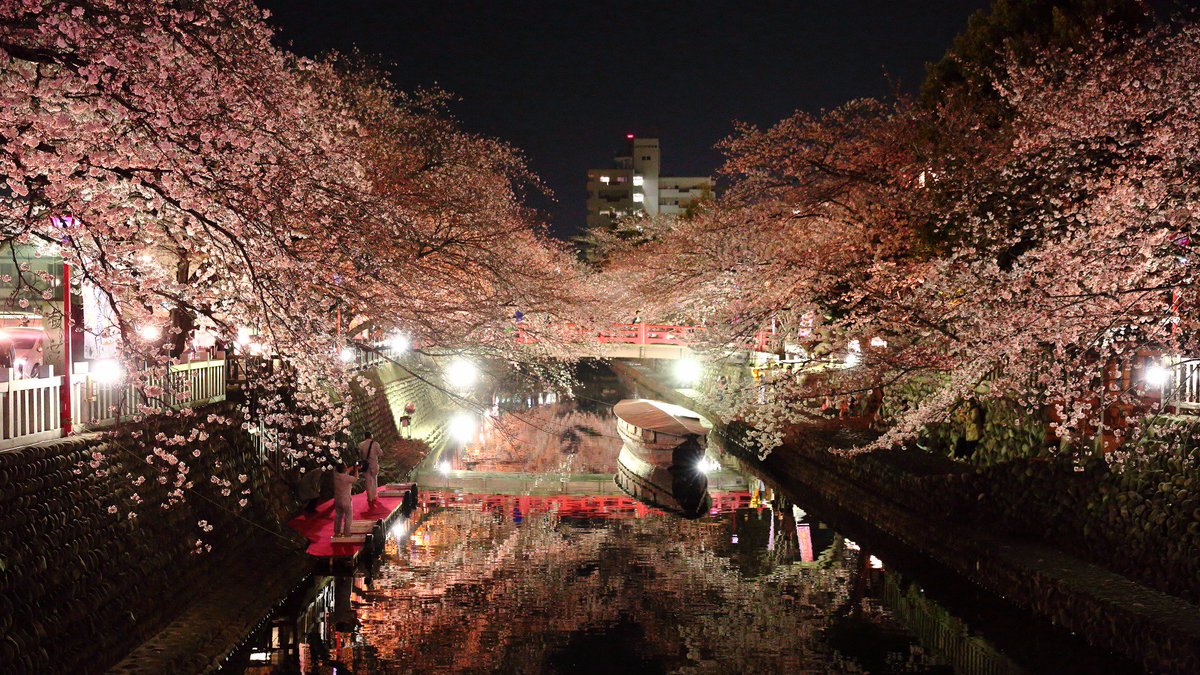 イクゾー على تويتر 大垣市水門川の夜桜を動画撮影をしてきた まだ7 8分咲き でも見応え十分 都合上写真は動画サイズ 16 9 のまま撮影 明日か明後日 今度は 写真 撮りに行こ 夜桜 桜 水門川 大垣市 岐阜 T Co 4ry6w69daq イクゾー على تويتر 大垣市水門川の夜桜を動画撮影をしてきた まだ7 8分咲き でも見応え十分 都合上写真は動画サイズ 16 9 のまま撮影 明日か明後日 今度は 写真 撮りに行こ 夜桜 桜 水門川 大垣市 岐阜 T Co 4ry6w69daq