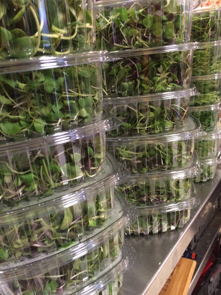 karafoods's tweet photo. Have you tried "fresh therapy" proud of our sprouts! https://t.co/Fqk9vpkSkx
