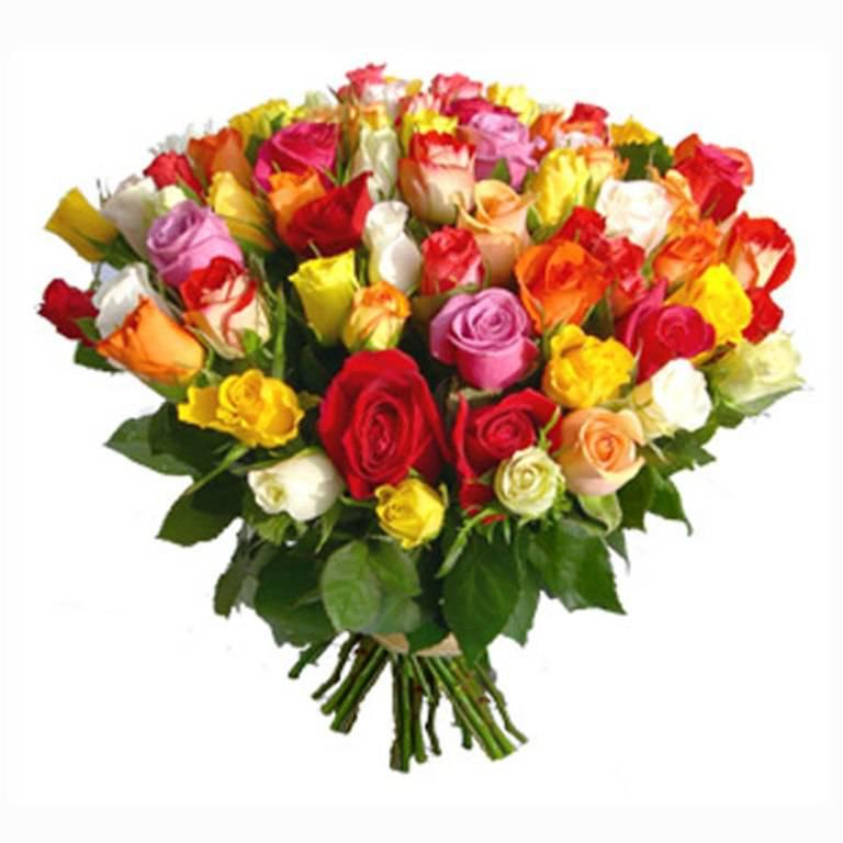 frejaplus's tweet image. 🌷🌷СУПЕР предложение!!!!!🌷🌷
📎 Роза Кения от 31 шт по 50 рублей!!!
Заказы принимаем по номеру 8-919-791-35-00. Звоните