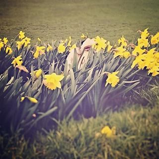 Joy_PhotoCam's tweet photo. #tbt #pug #daffodils #springpug #spring #pugsofinsta #lovepug https://t.co/FbmEpuEI95 https://t.co/kA1HdZHH8H