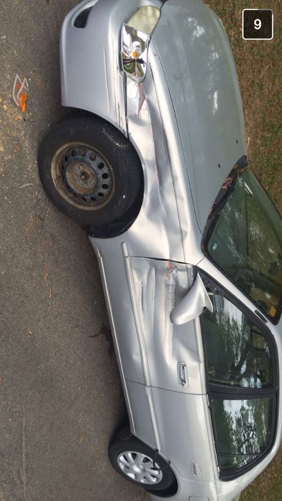 austin_gelin23's tweet image. Shelby has been through so much... The City of Tallahassee shall pay for what they did to you!!