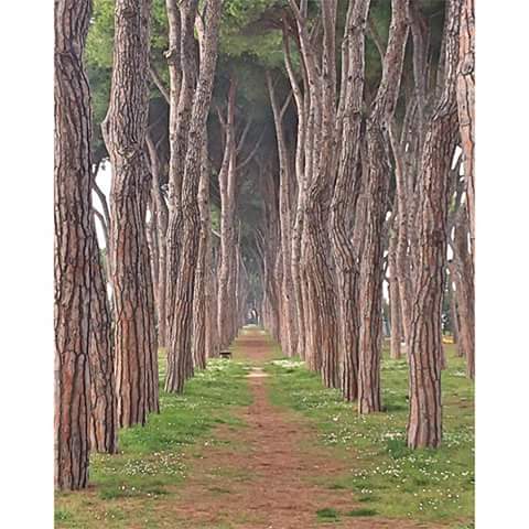 Pineto (Te) Abruzzo - Italy