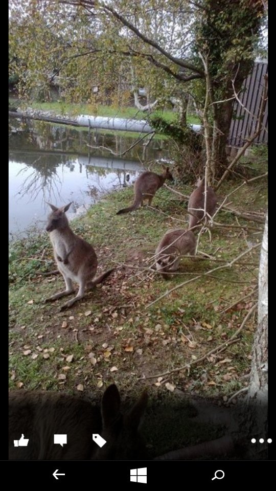 zipidydodaday's tweet image. &quot;@CountryLife100:  #springsnaps Fota