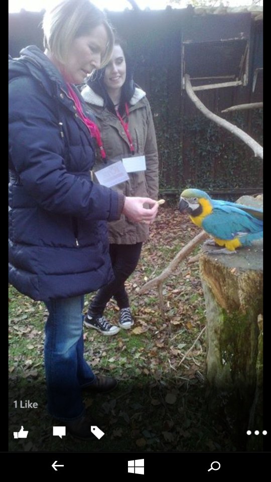 zipidydodaday's tweet image. &quot;@CountryLife100:  #springsnaps Fota